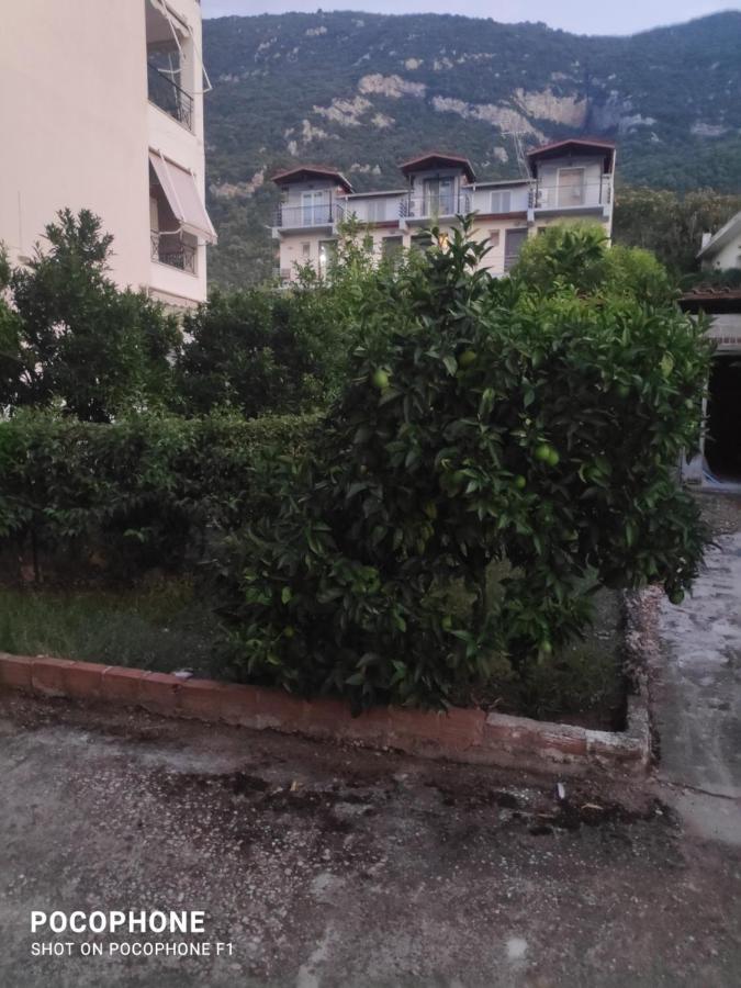 κεντρικό, άνετο και ζεστό Apartment